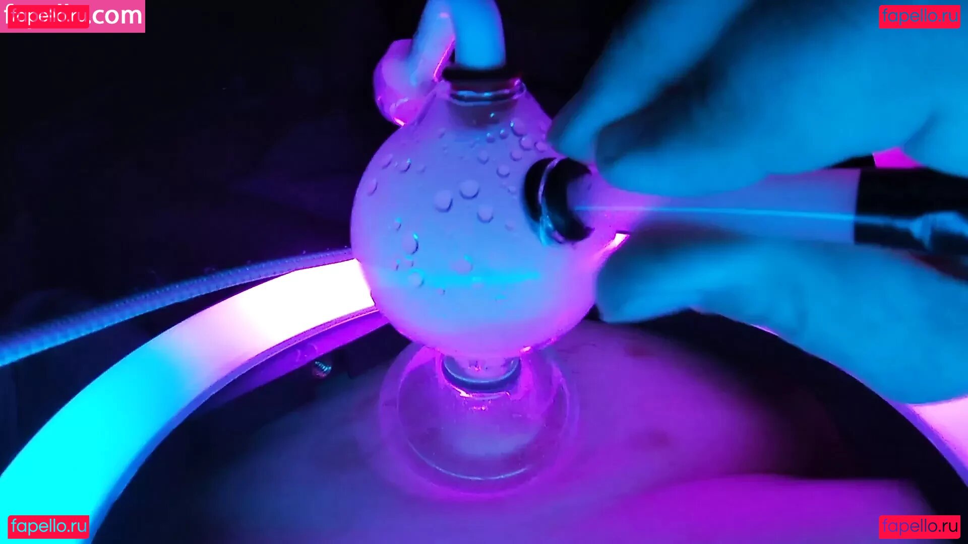 Puffin ASM Onlyfans Photo Gallery 