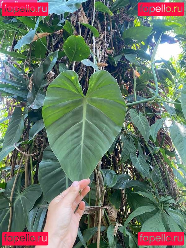 Freya Fields / fields_freya / freyafields Onlyfans Photo Gallery 