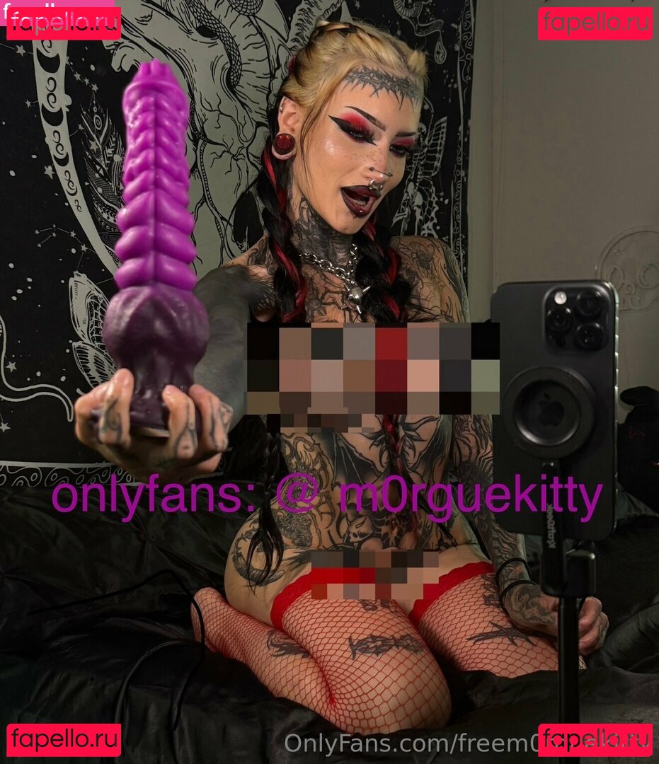freem0rguekitty / m0rguekittyy Onlyfans Photo Gallery 