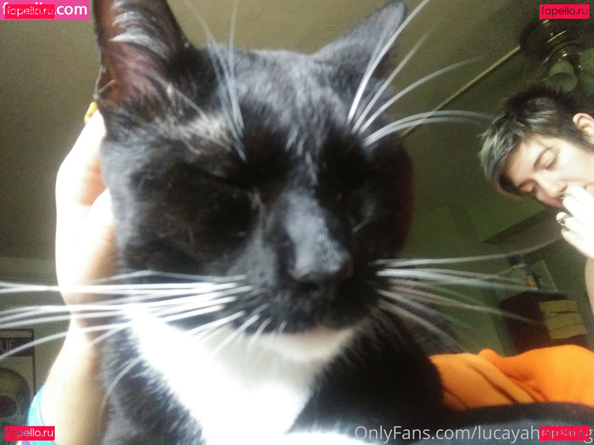 lucayahellsing Onlyfans Photo Gallery 