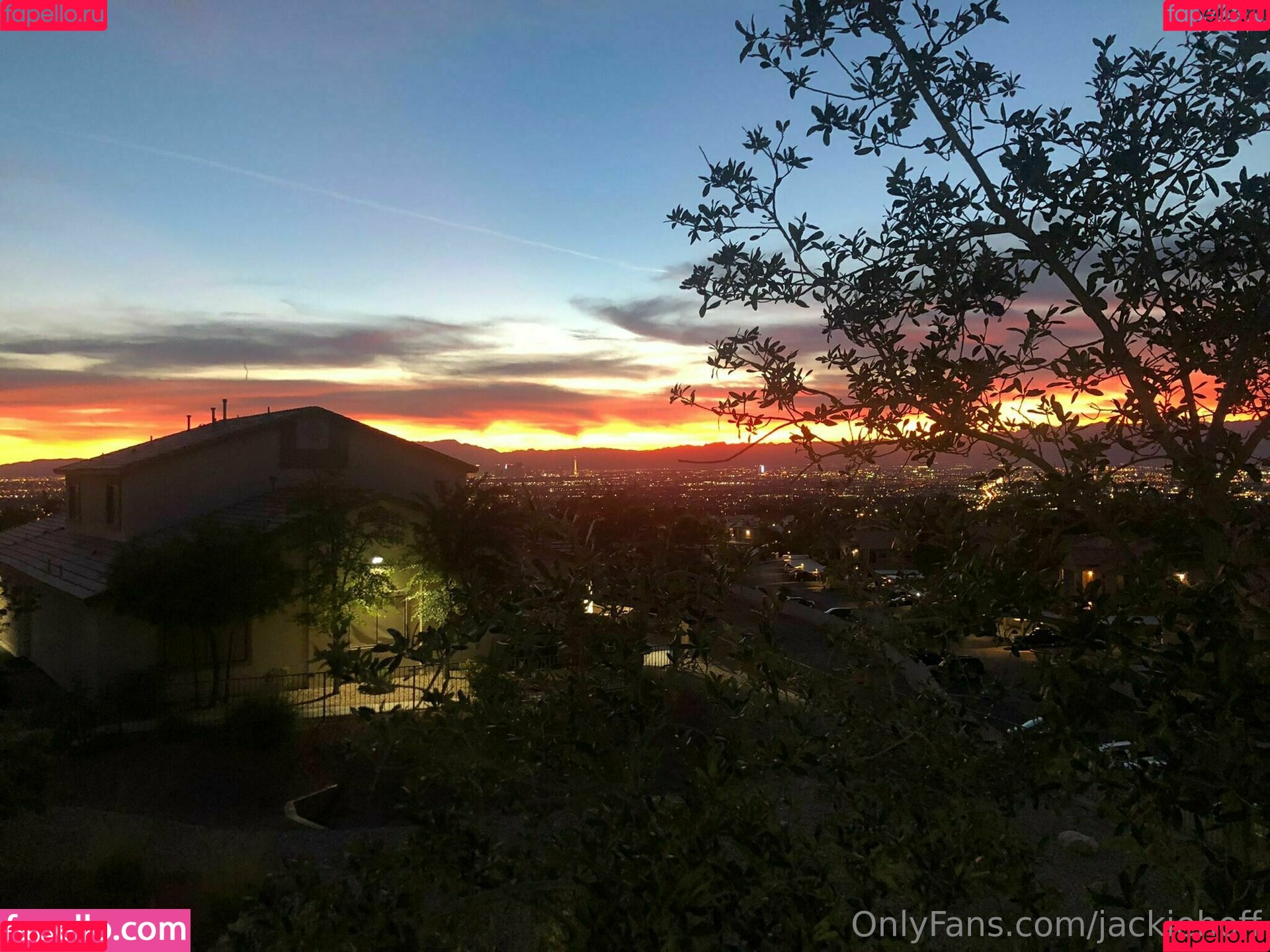 jackiehoff Onlyfans Photo Gallery 