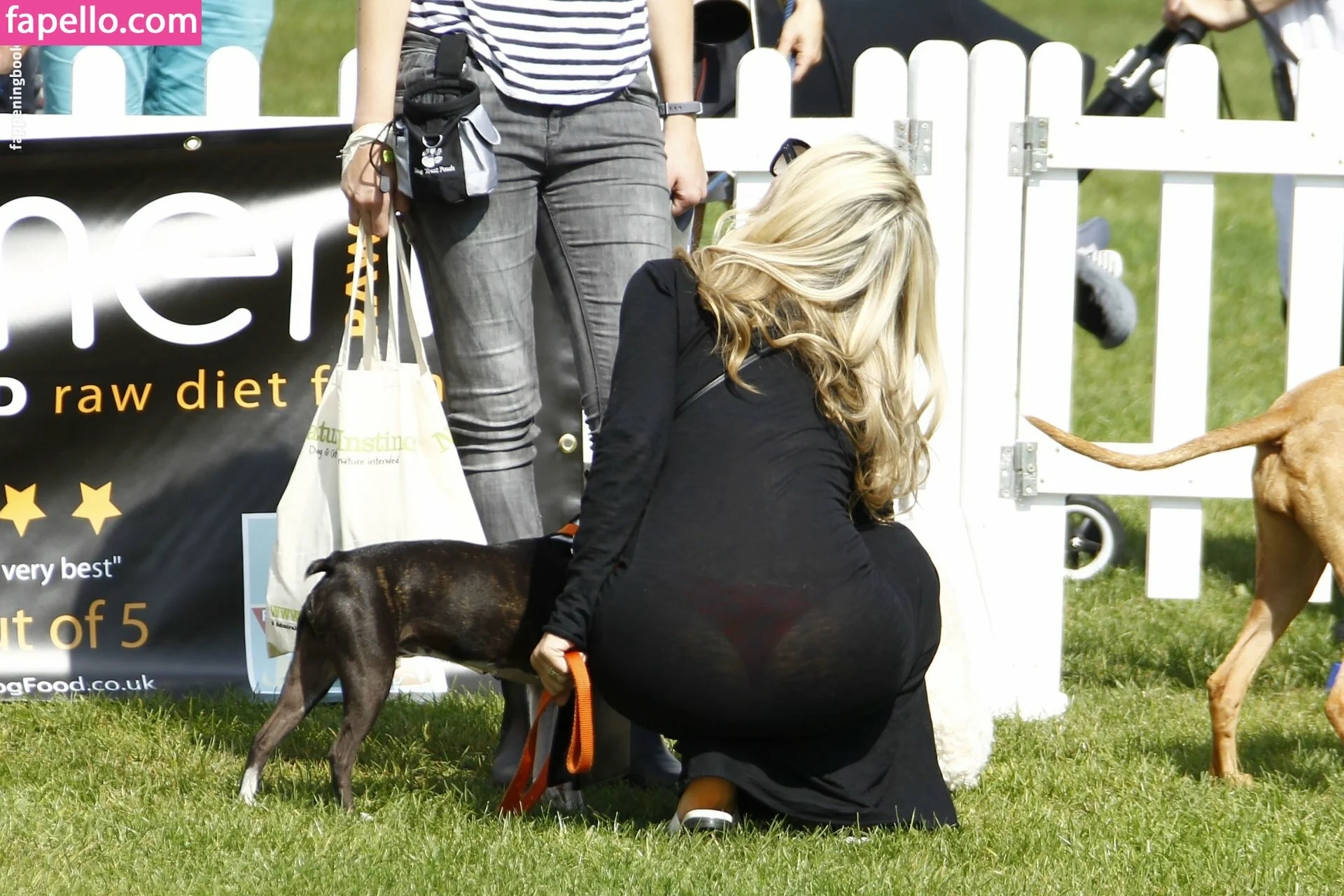 Meg Matthews Onlyfans Photo Gallery 