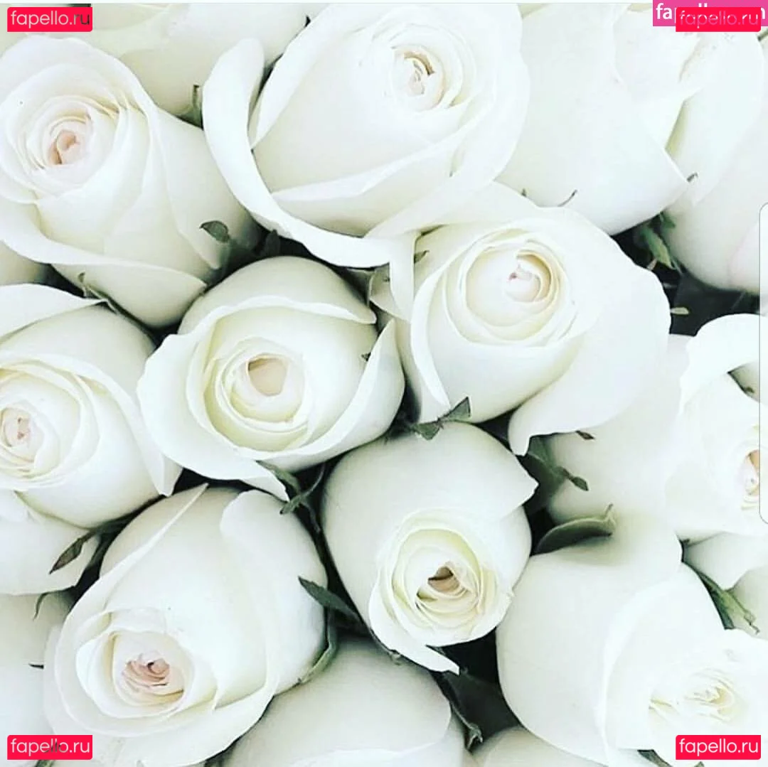 Anamichelleh Onlyfans Photo Gallery 