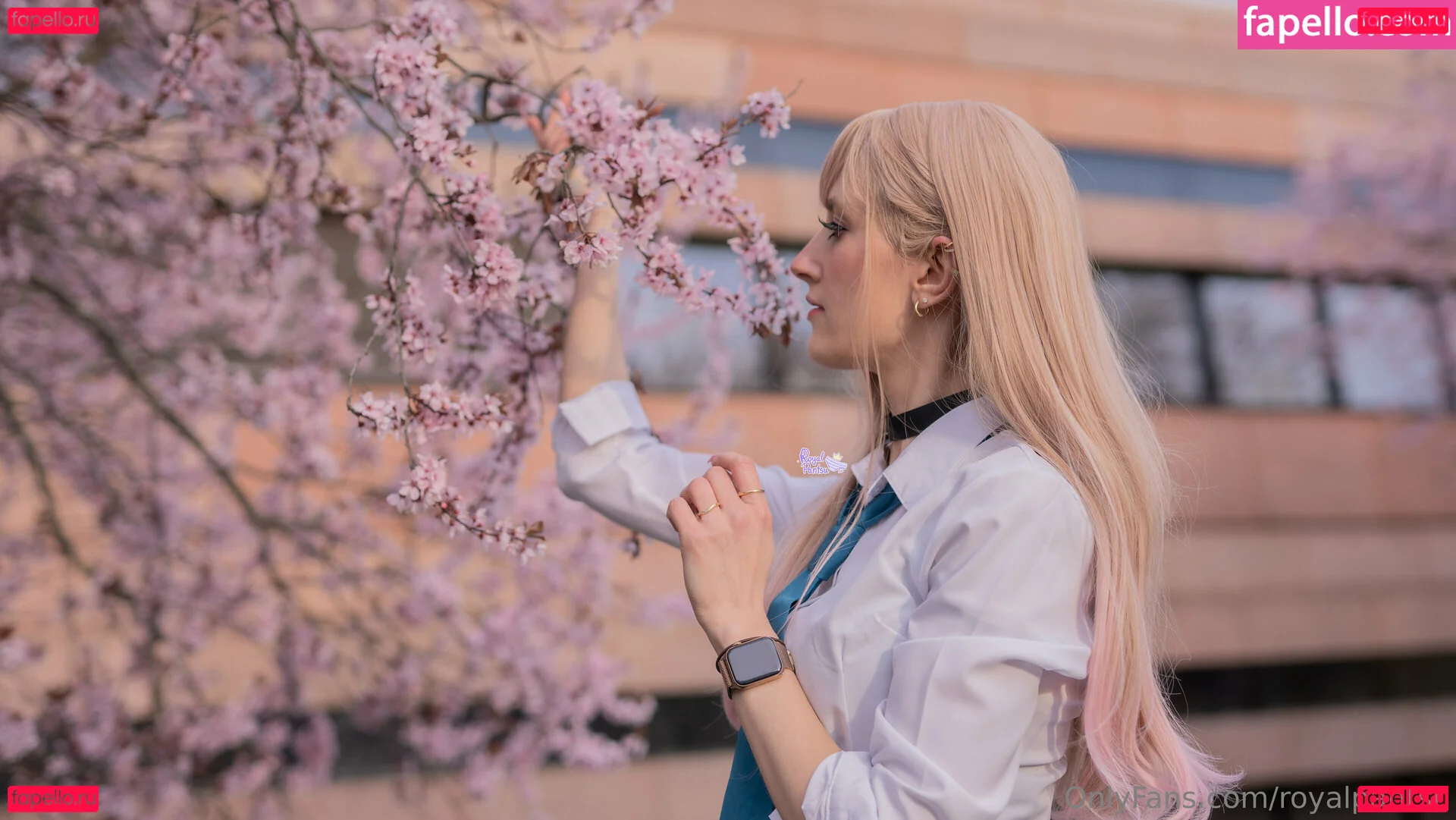 royalpantsu Onlyfans Photo Gallery 