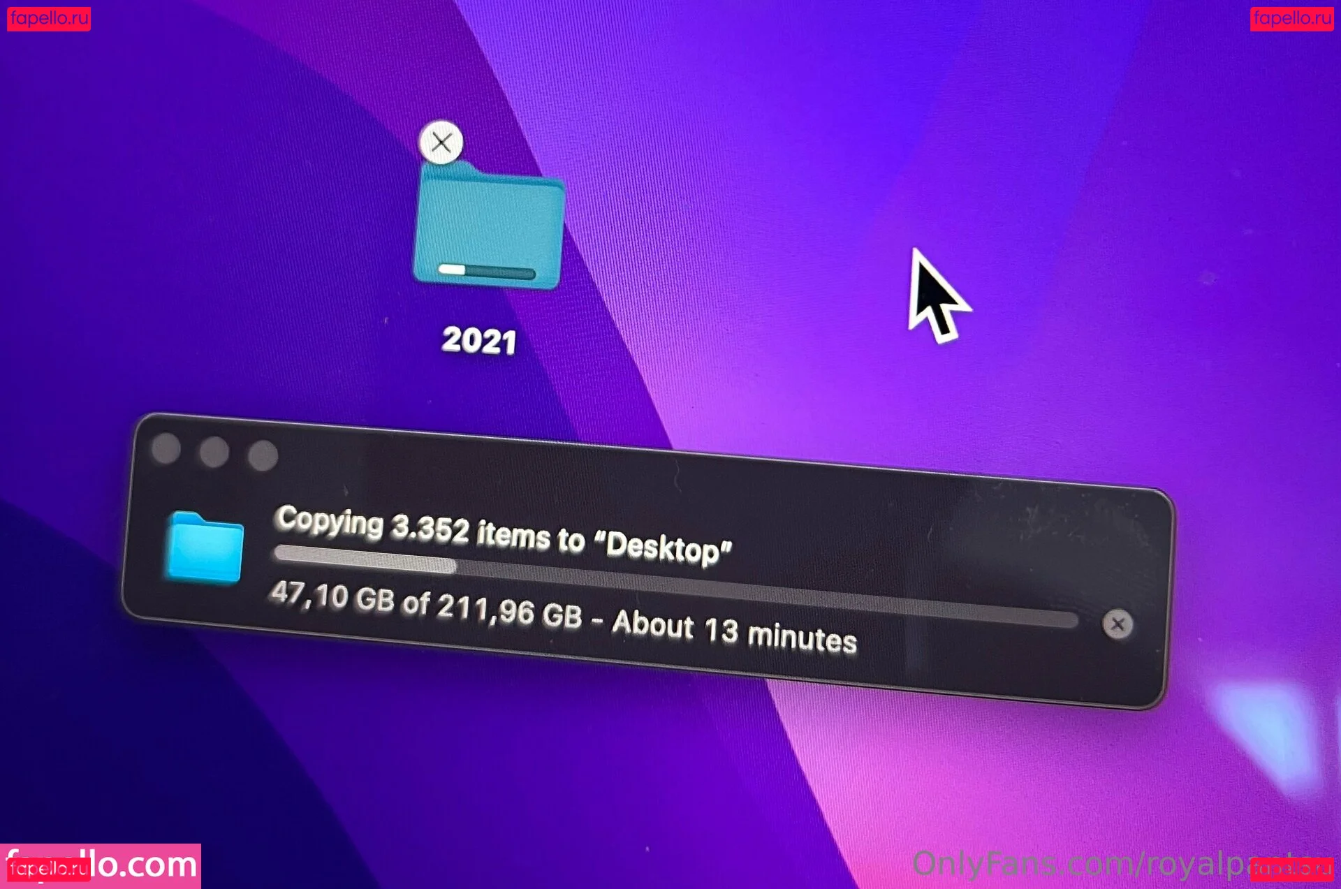 royalpantsu Onlyfans Photo Gallery 