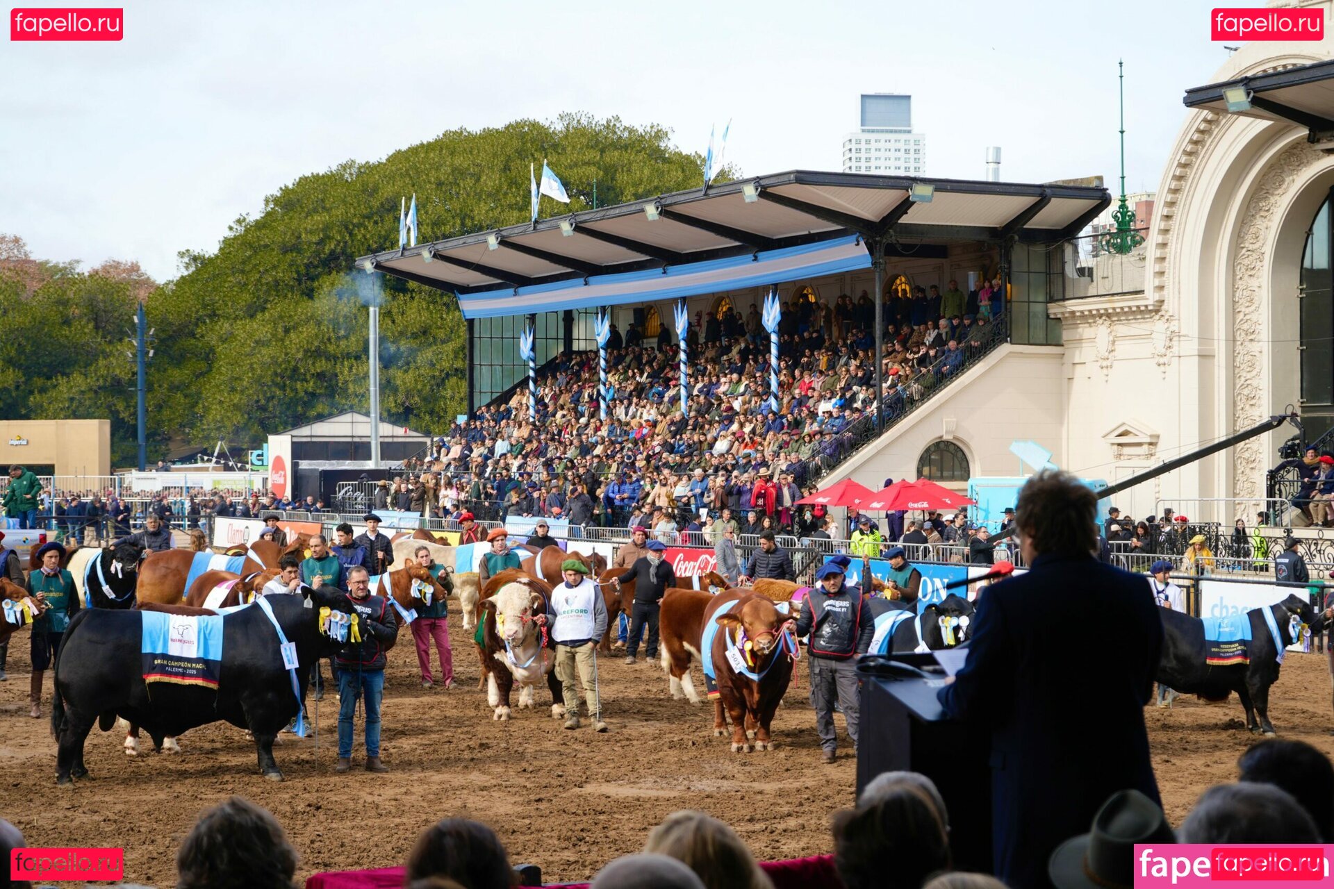 jessicagustafsson Onlyfans Photo Gallery 