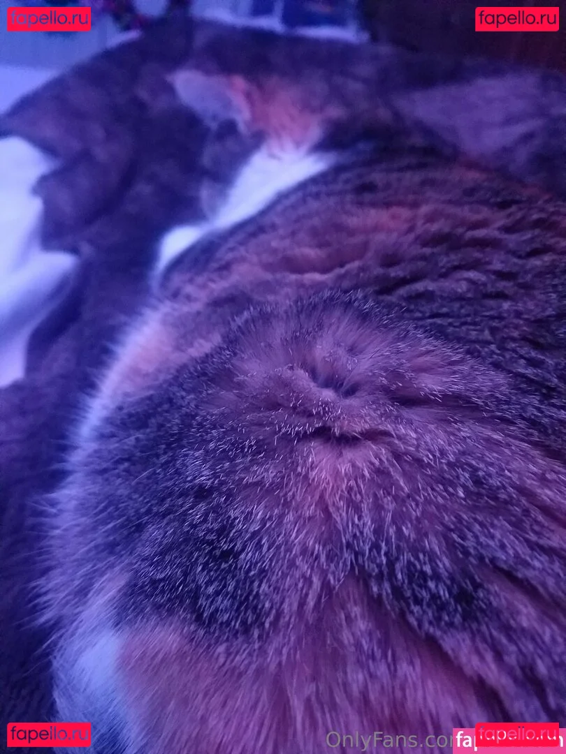 sqregina Onlyfans Photo Gallery 