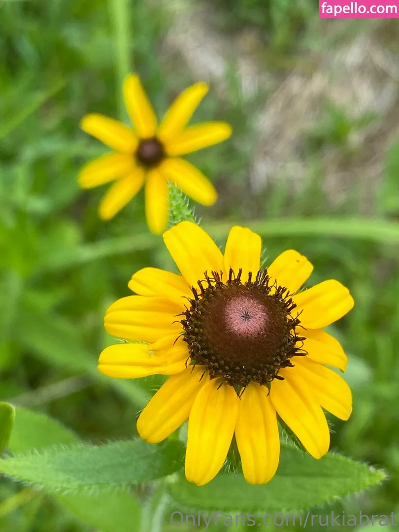 rukiabrat Onlyfans Photo Gallery 