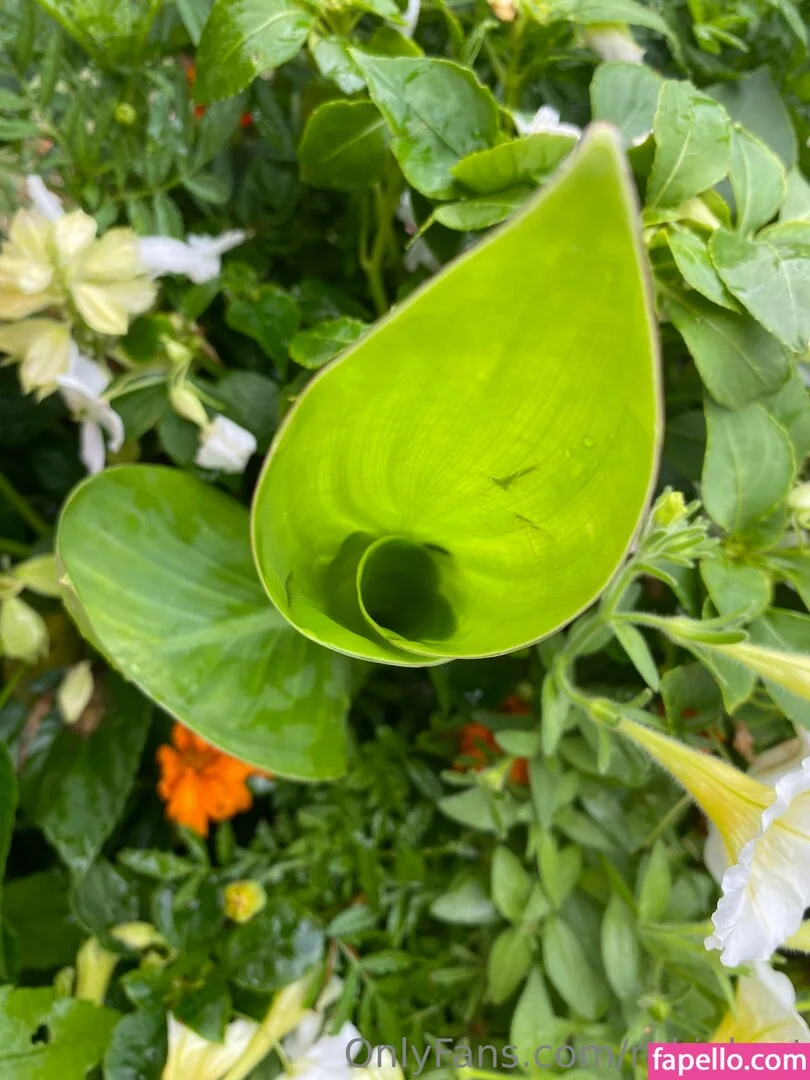 rukiabrat Onlyfans Photo Gallery 