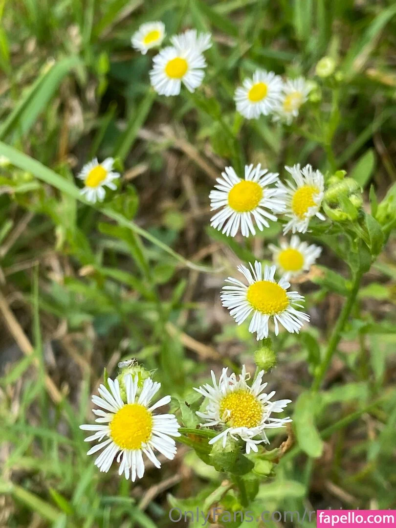 rukiabrat Onlyfans Photo Gallery 