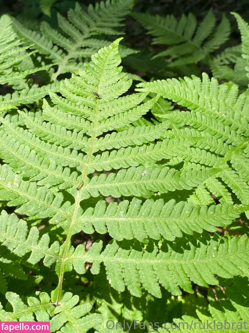 rukiabrat Onlyfans Photo Gallery 