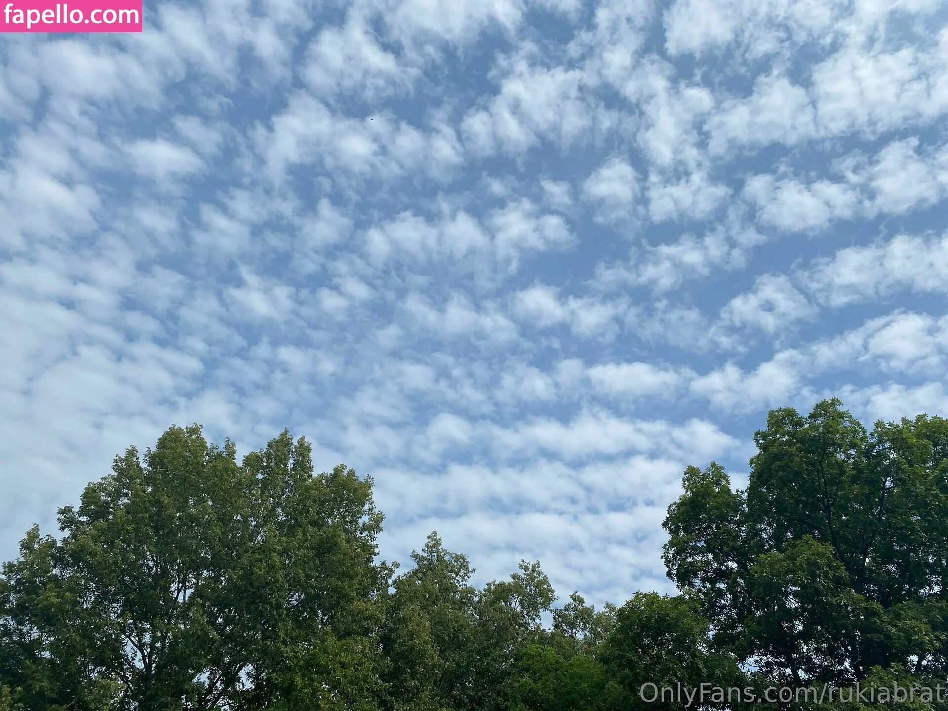 rukiabrat Onlyfans Photo Gallery 