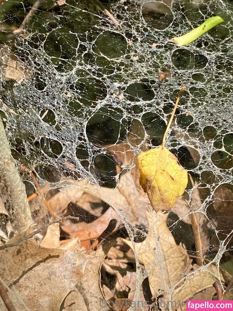 rukiabrat Onlyfans Photo Gallery 