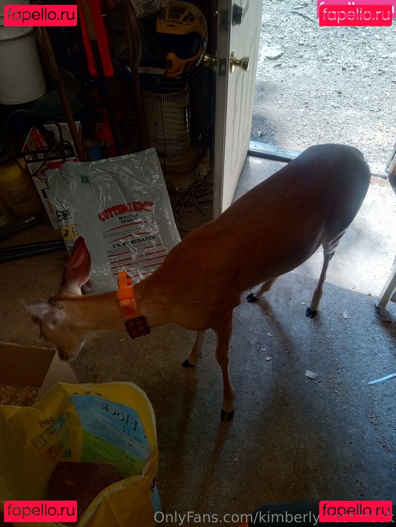 kimberlyswonderland / kimberlywestbrook Onlyfans Photo Gallery 