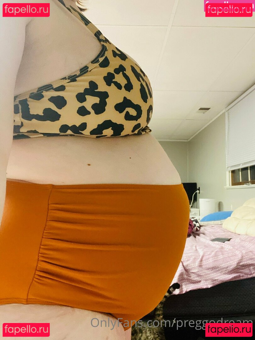 kimwanderbug / preggodream Onlyfans Photo Gallery 
