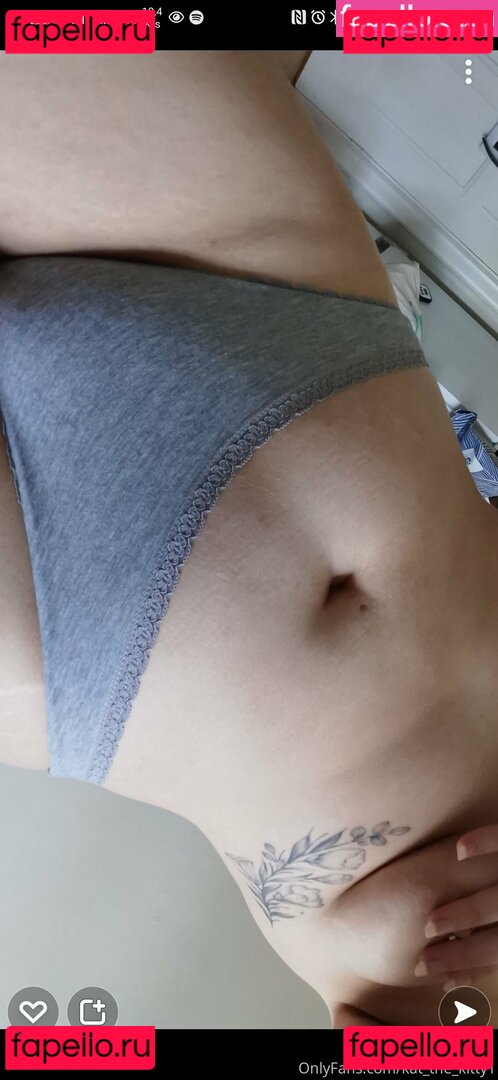 nordickitten Onlyfans Photo Gallery 