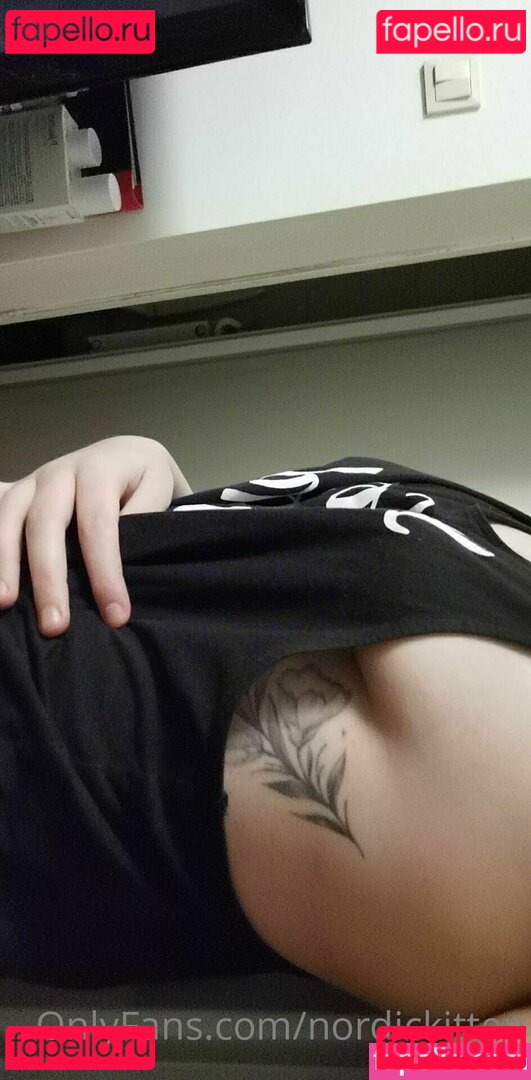 nordickitten Onlyfans Photo Gallery 