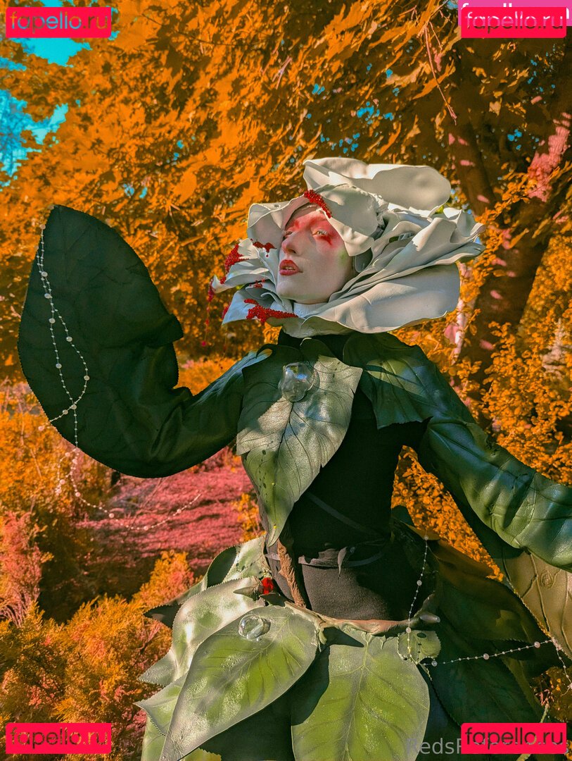 reddoodles2 / reddoodlesart / redsreferences Onlyfans Photo Gallery 