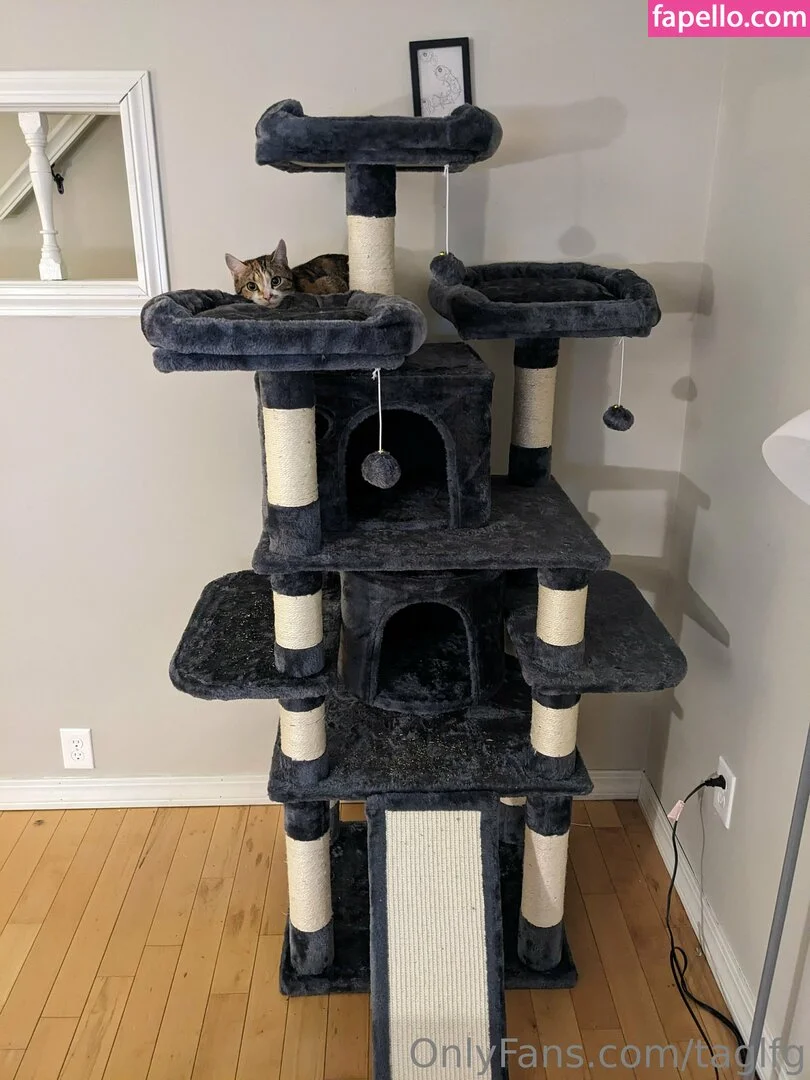 taglfg Onlyfans Photo Gallery 