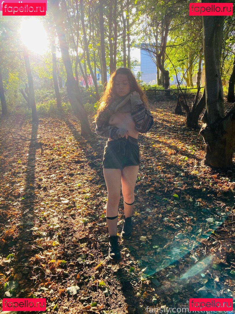 littlelee69 Onlyfans Photo Gallery 