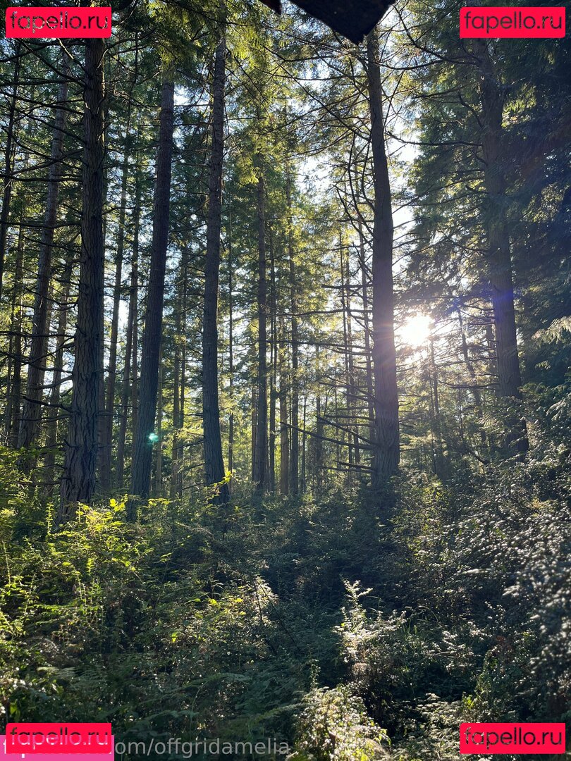 offgridamelia Onlyfans Photo Gallery 