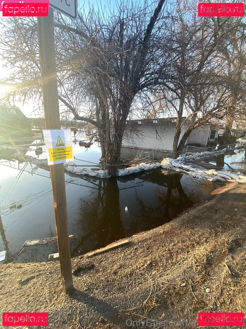 gaptoothgirl / gaptoothgirl.art Onlyfans Photo Gallery 