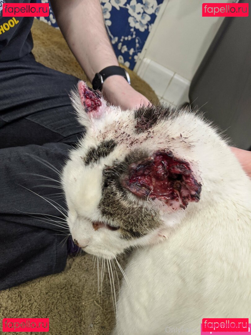 irisreigns / irisreins Onlyfans Photo Gallery 