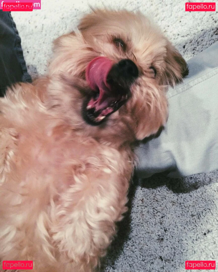 Brittany Ngo Onlyfans Photo Gallery 