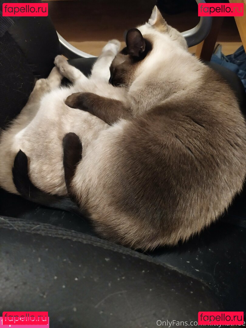 kitty.kathee / kittykathee Onlyfans Photo Gallery 