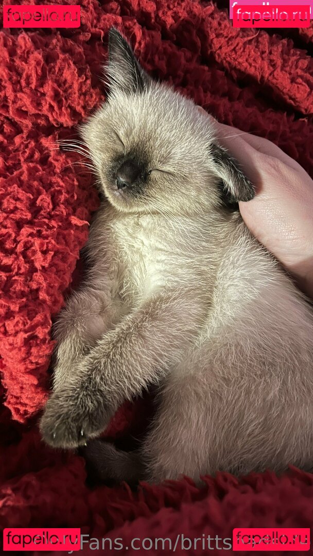 brittsbadside Onlyfans Photo Gallery 