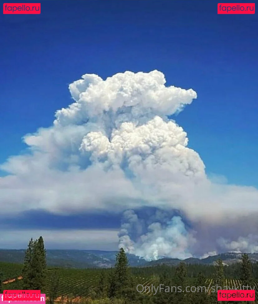 shaykitty Onlyfans Photo Gallery 