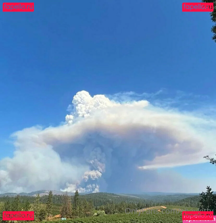 shaykitty Onlyfans Photo Gallery 