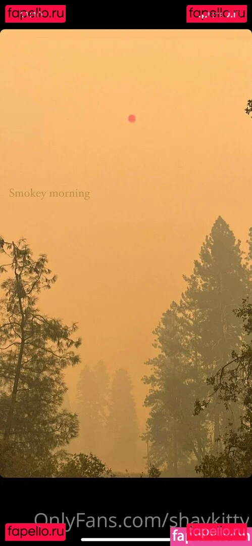 shaykitty Onlyfans Photo Gallery 