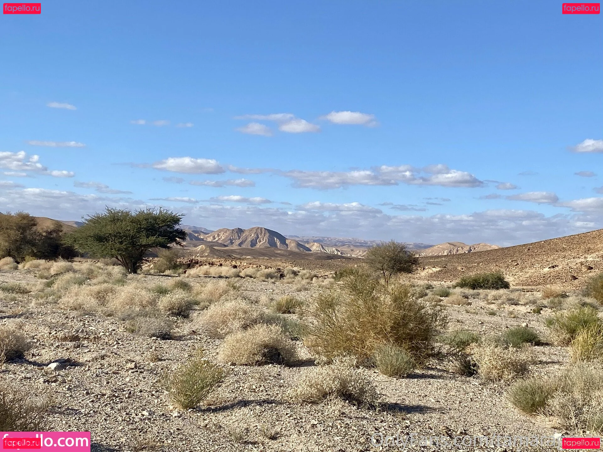 Tamara Grace Onlyfans Photo Gallery 