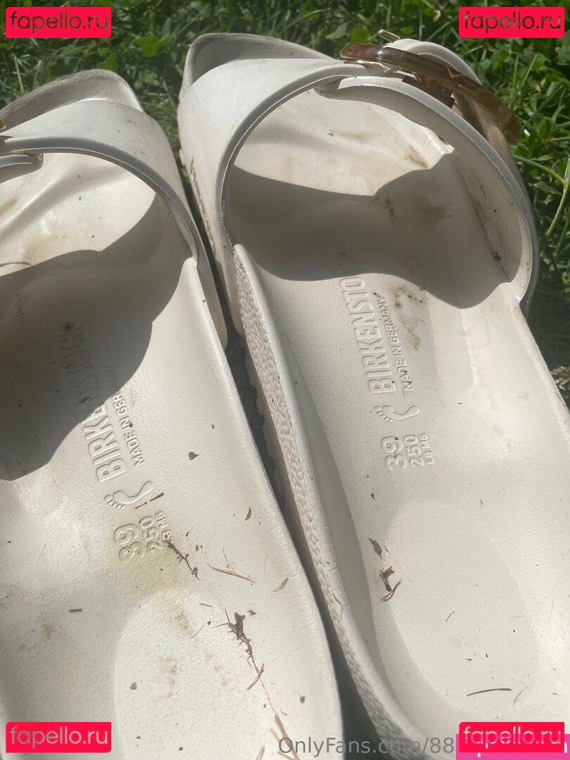 888gingerred / reel Onlyfans Photo Gallery 