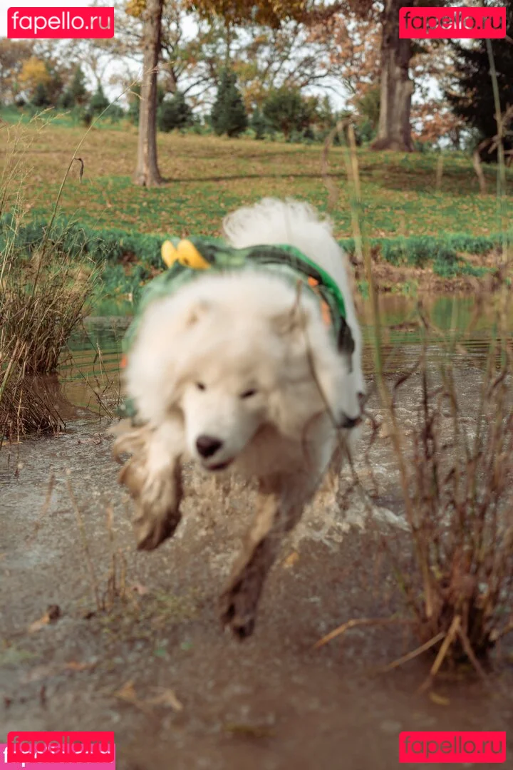 Okicospi Onlyfans Photo Gallery 