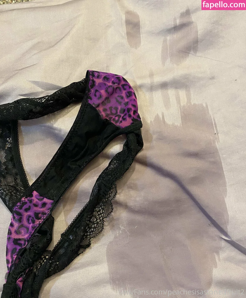 peachesisastonedfruit2 Onlyfans Photo Gallery 