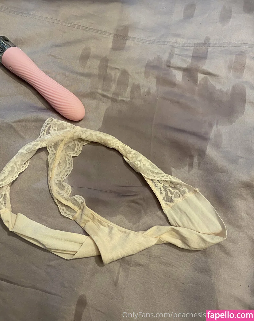 peachesisastonedfruit2 Onlyfans Photo Gallery 