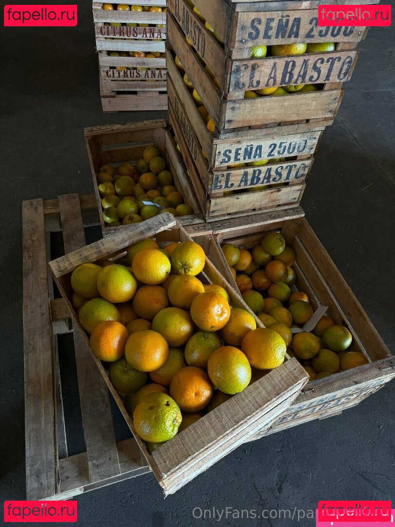 panteritafree Onlyfans Photo Gallery 