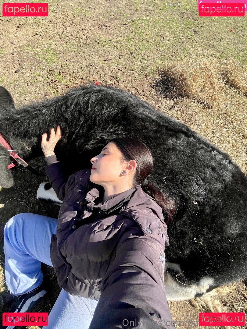 panteritafree Onlyfans Photo Gallery 