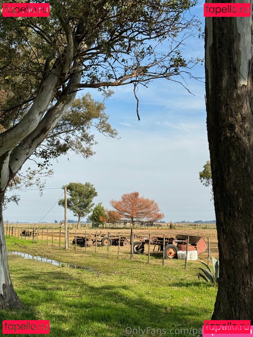 panteritafree Onlyfans Photo Gallery 