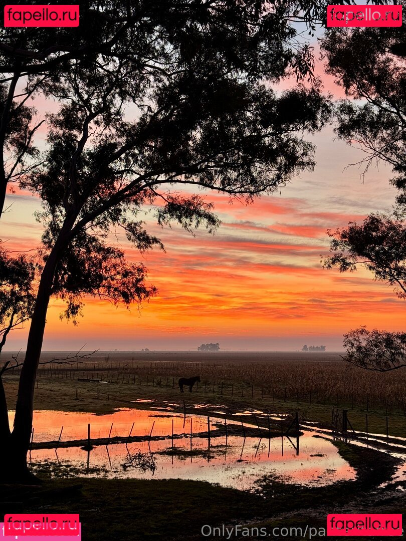 panteritafree Onlyfans Photo Gallery 