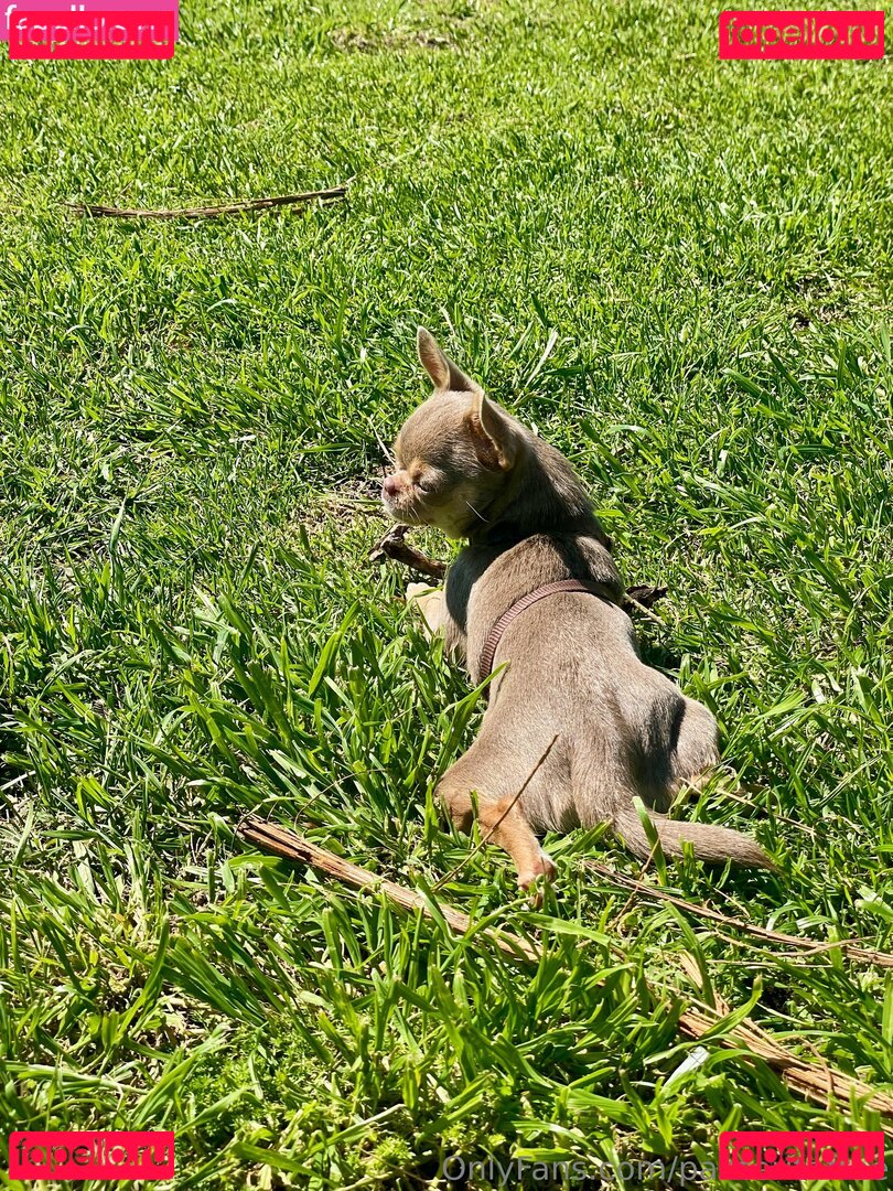 panteritafree Onlyfans Photo Gallery 