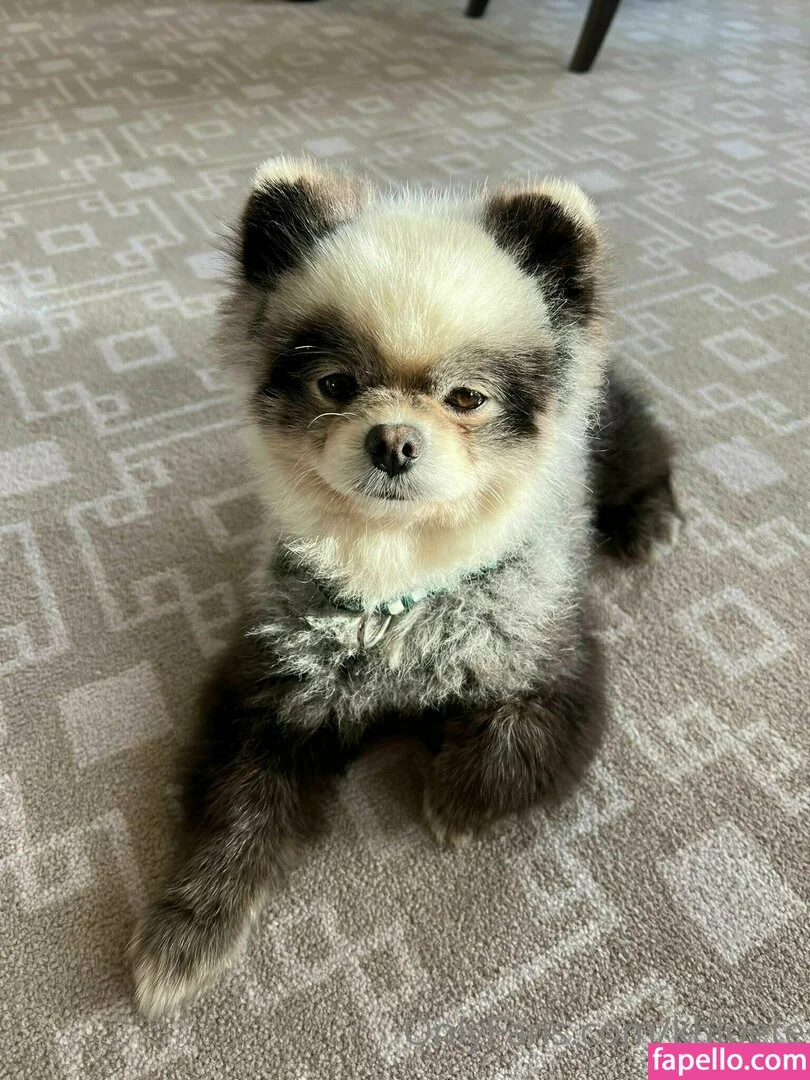 khloete Onlyfans Photo Gallery 