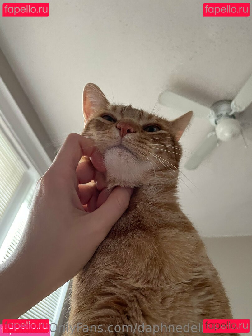 daphnedelrose / daphnedelrosefree Onlyfans Photo Gallery 