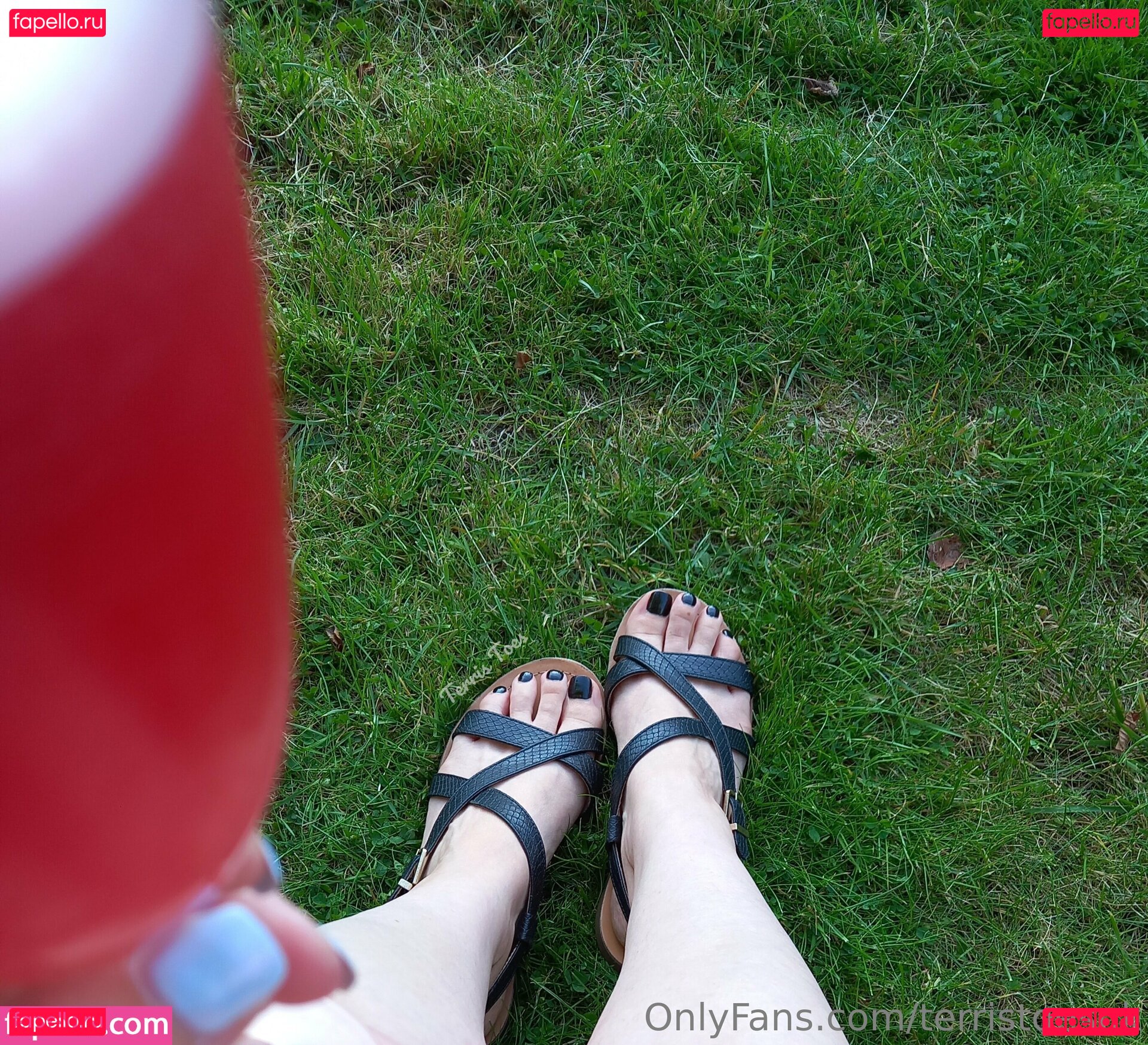 terris_toes / terristoesuk Onlyfans Photo Gallery 