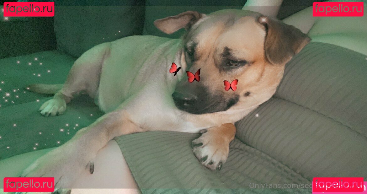 brattyprincess25 / miss_ty25 Onlyfans Photo Gallery 