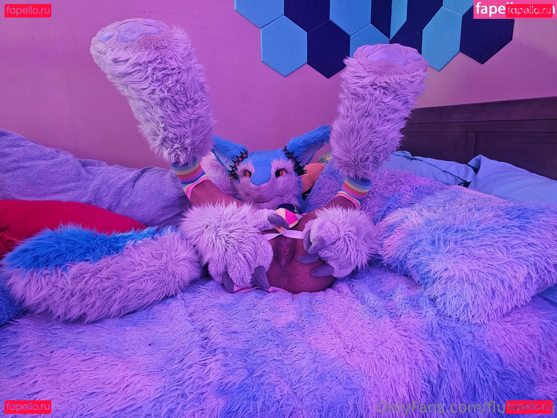 fluffarian Onlyfans Photo Gallery 