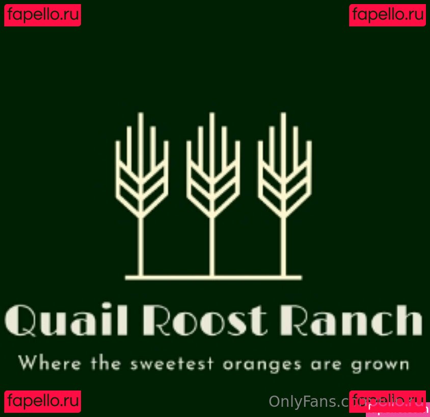 lilip37 Onlyfans Photo Gallery 