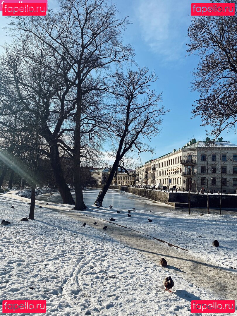 sannajornvik Onlyfans Photo Gallery 